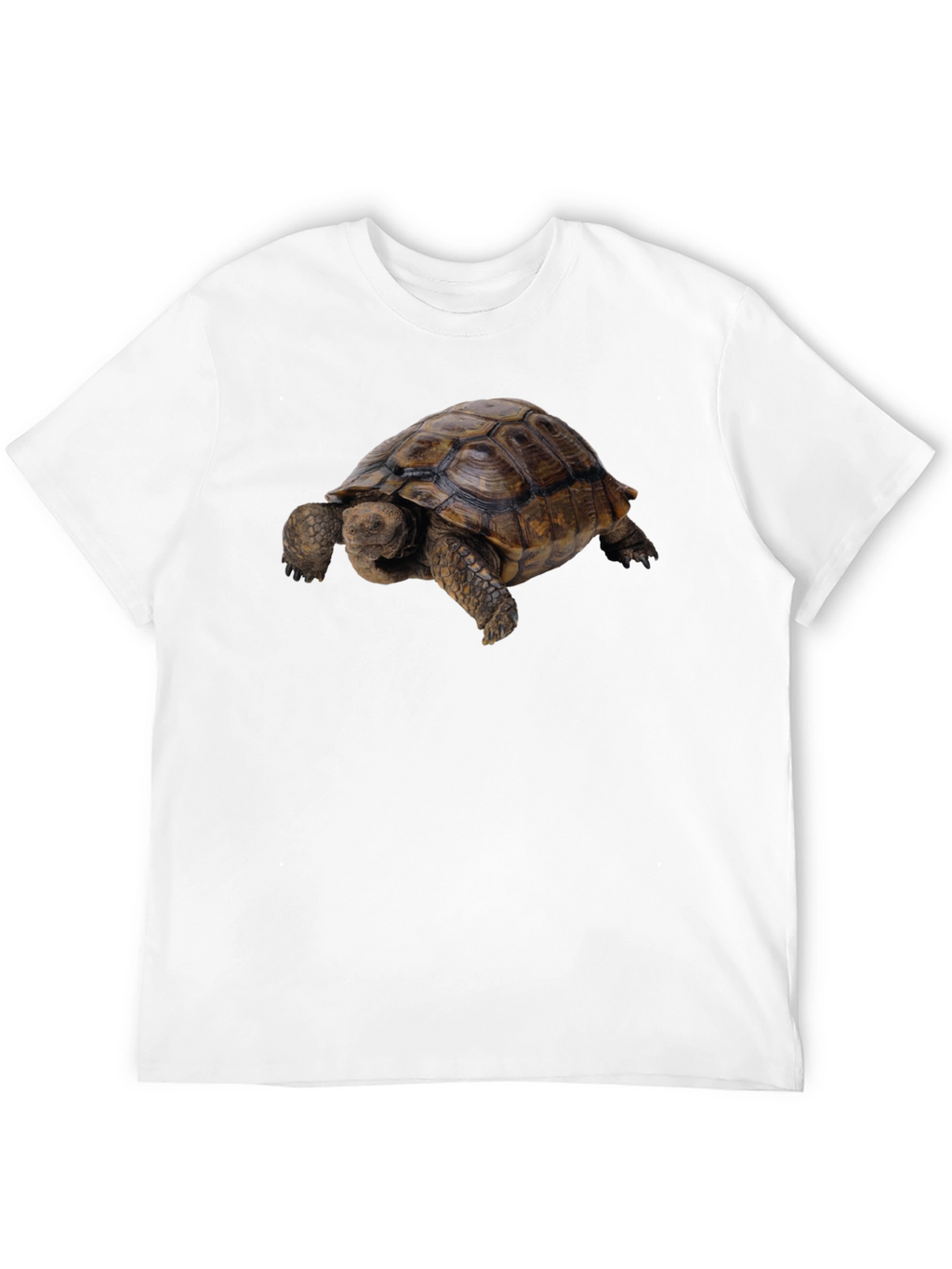 Tortoise Graphic Tee - Classic Crew Neck
