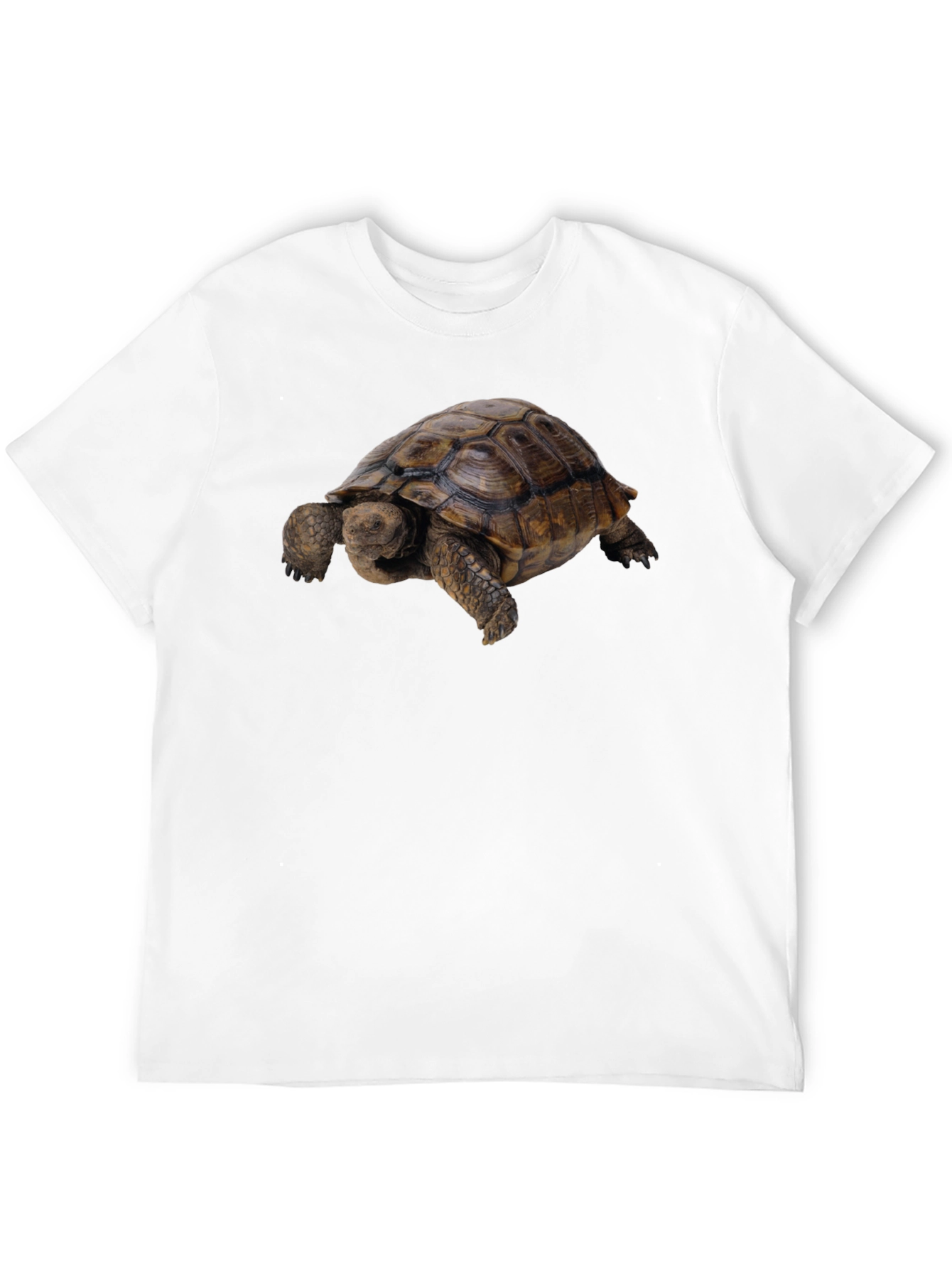 Tortoise Graphic Tee - Classic Crew Neck