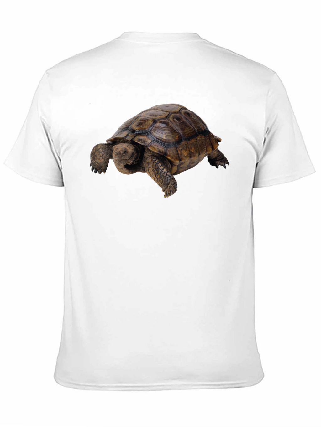 Tortoise Graphic Tee - Classic Crew Neck