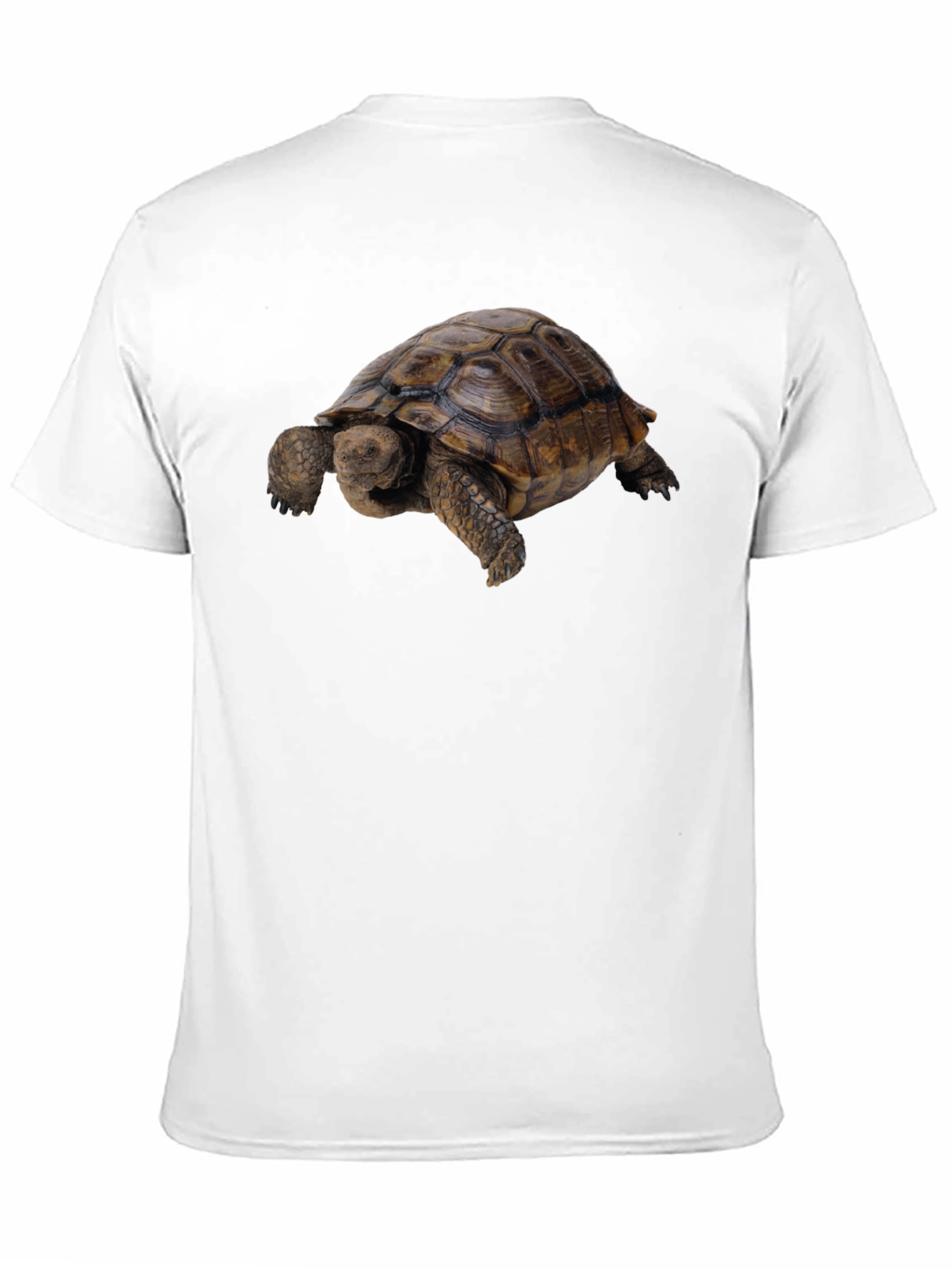 Tortoise Graphic Tee - Classic Crew Neck