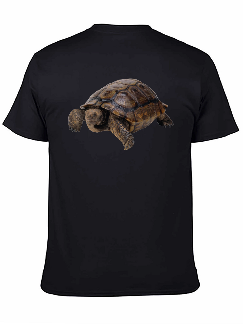 Tortoise Graphic Tee - Classic Crew Neck
