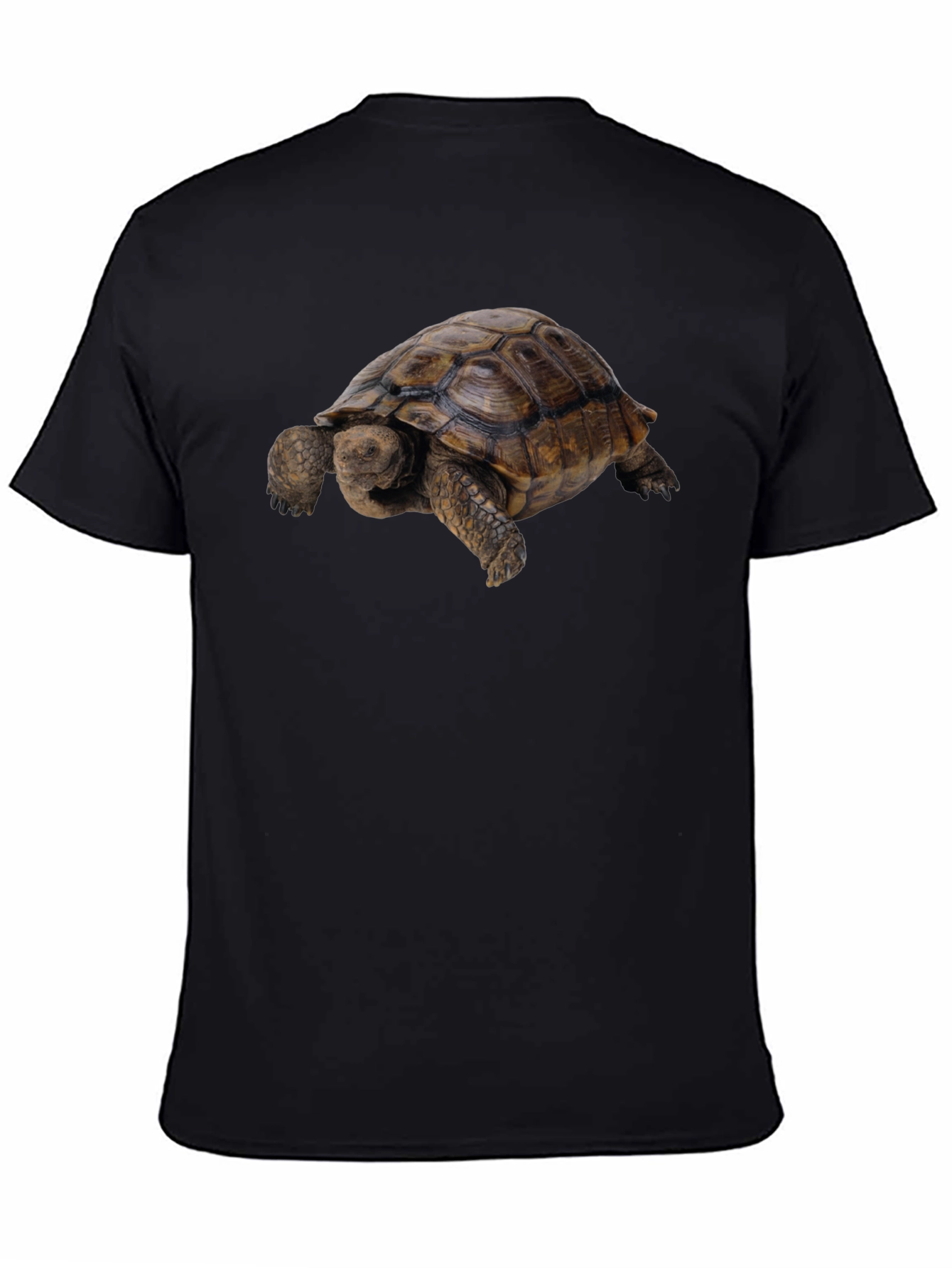 Tortoise Graphic Tee - Classic Crew Neck