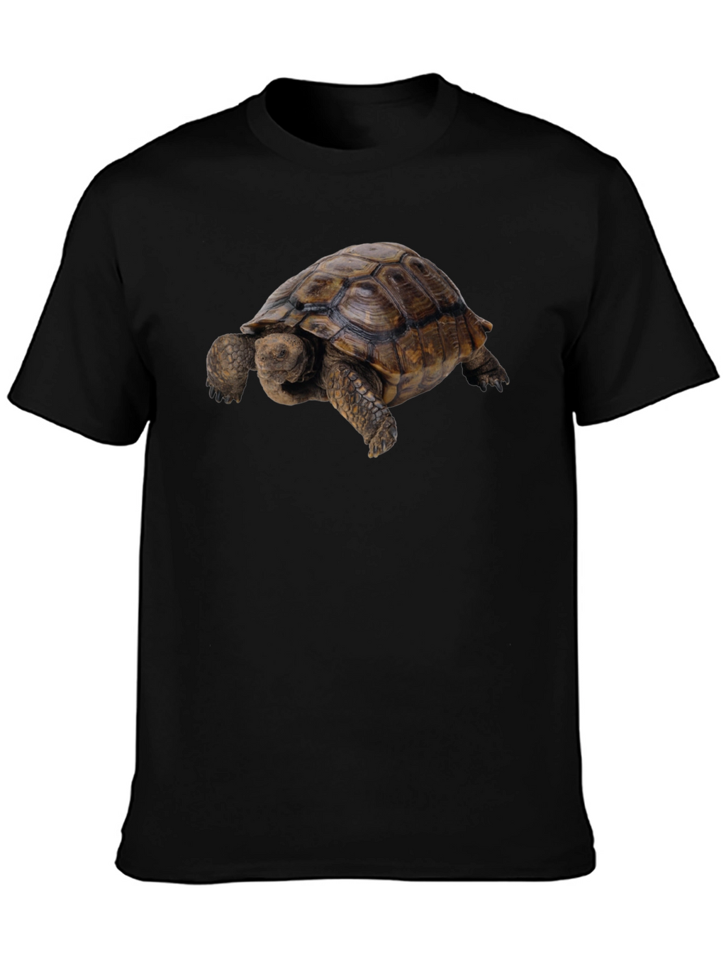 Tortoise Graphic Tee - Classic Crew Neck