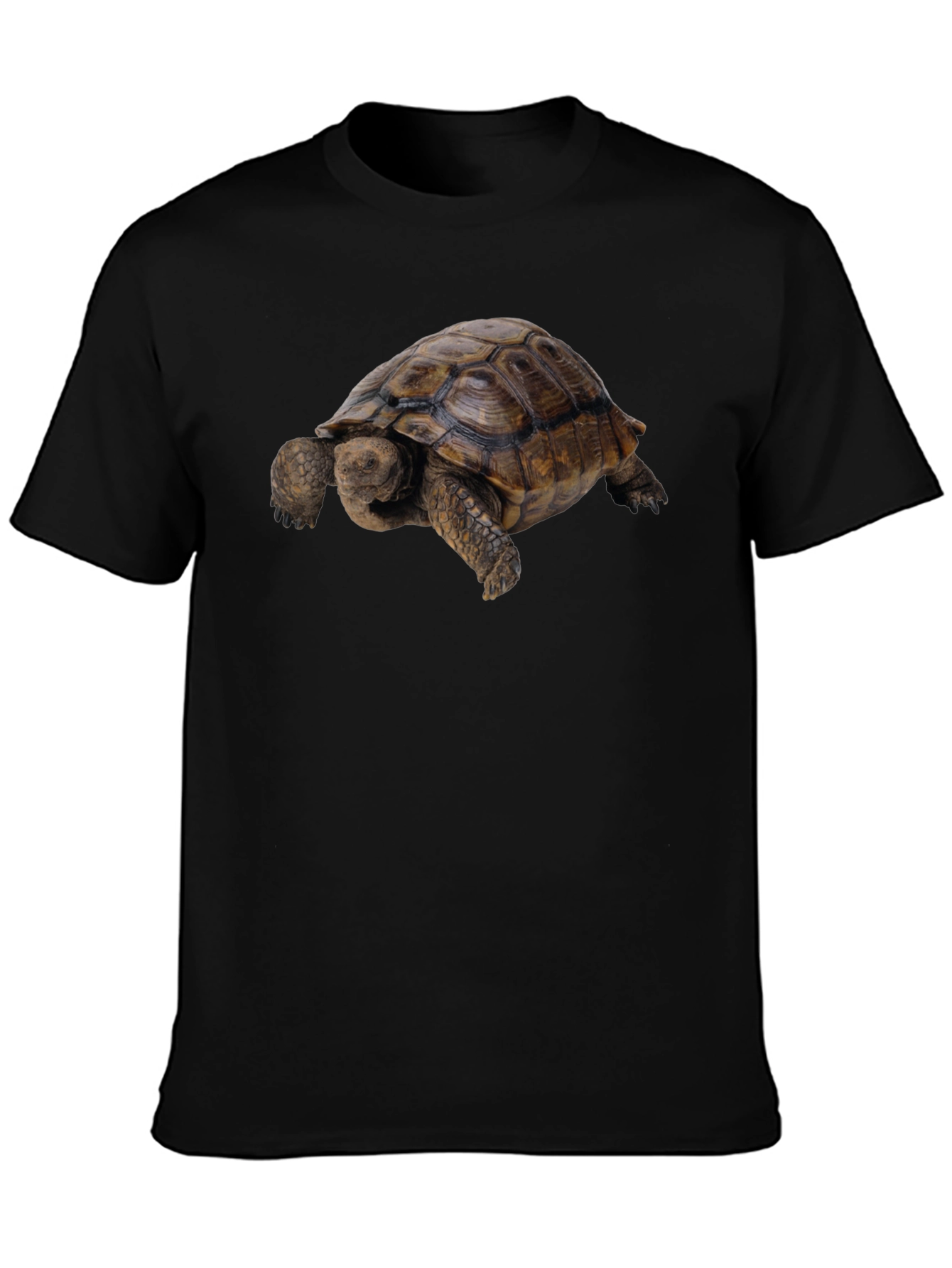 Tortoise Graphic Tee - Classic Crew Neck