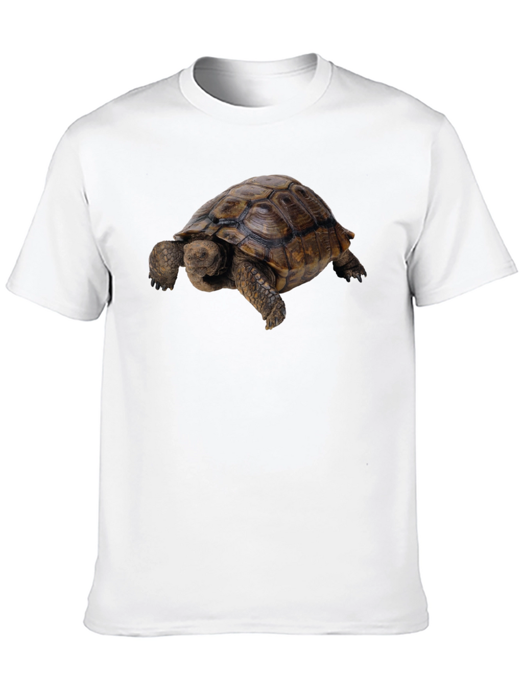 Tortoise Graphic Tee - Classic Crew Neck