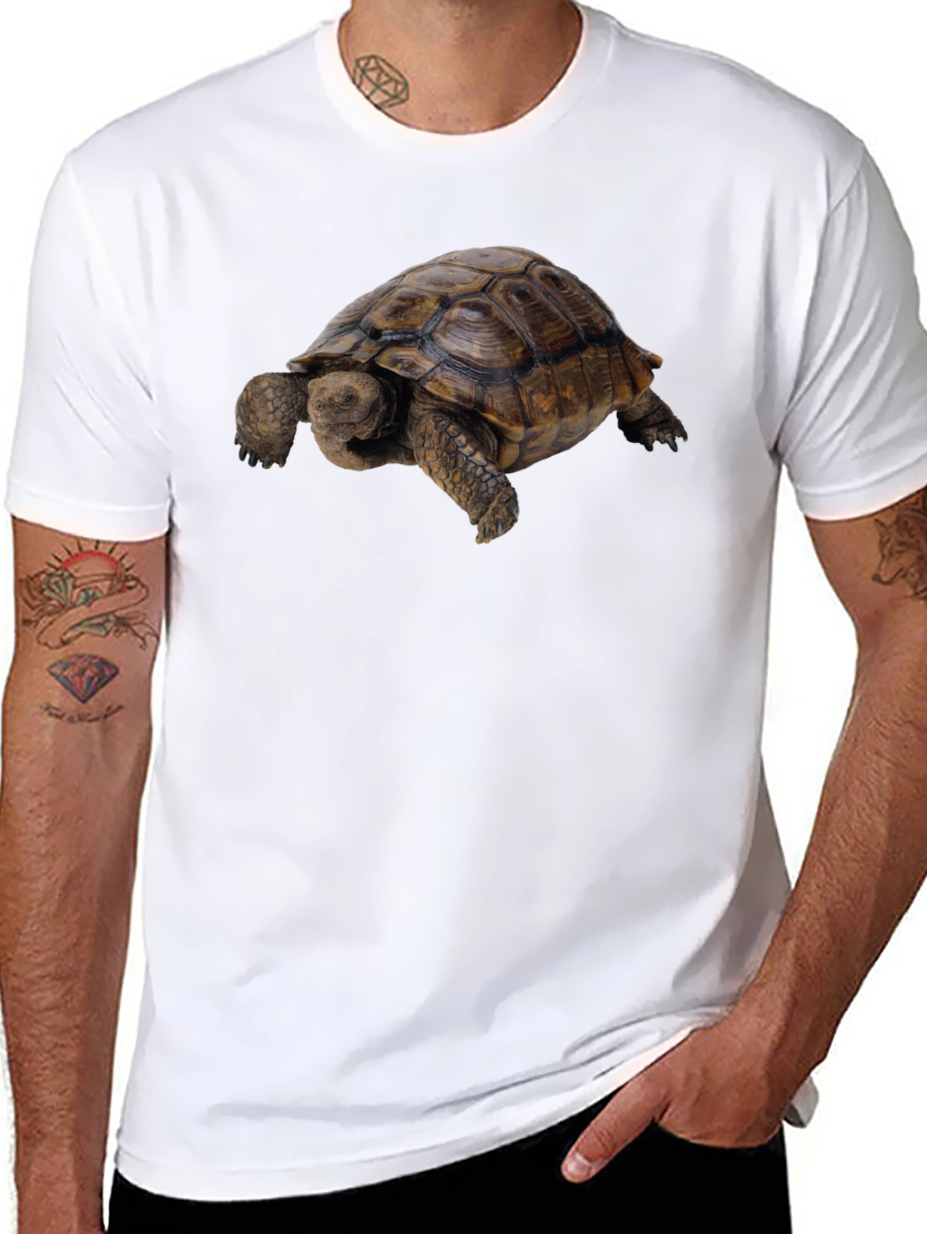 Tortoise Graphic Tee - Classic Crew Neck