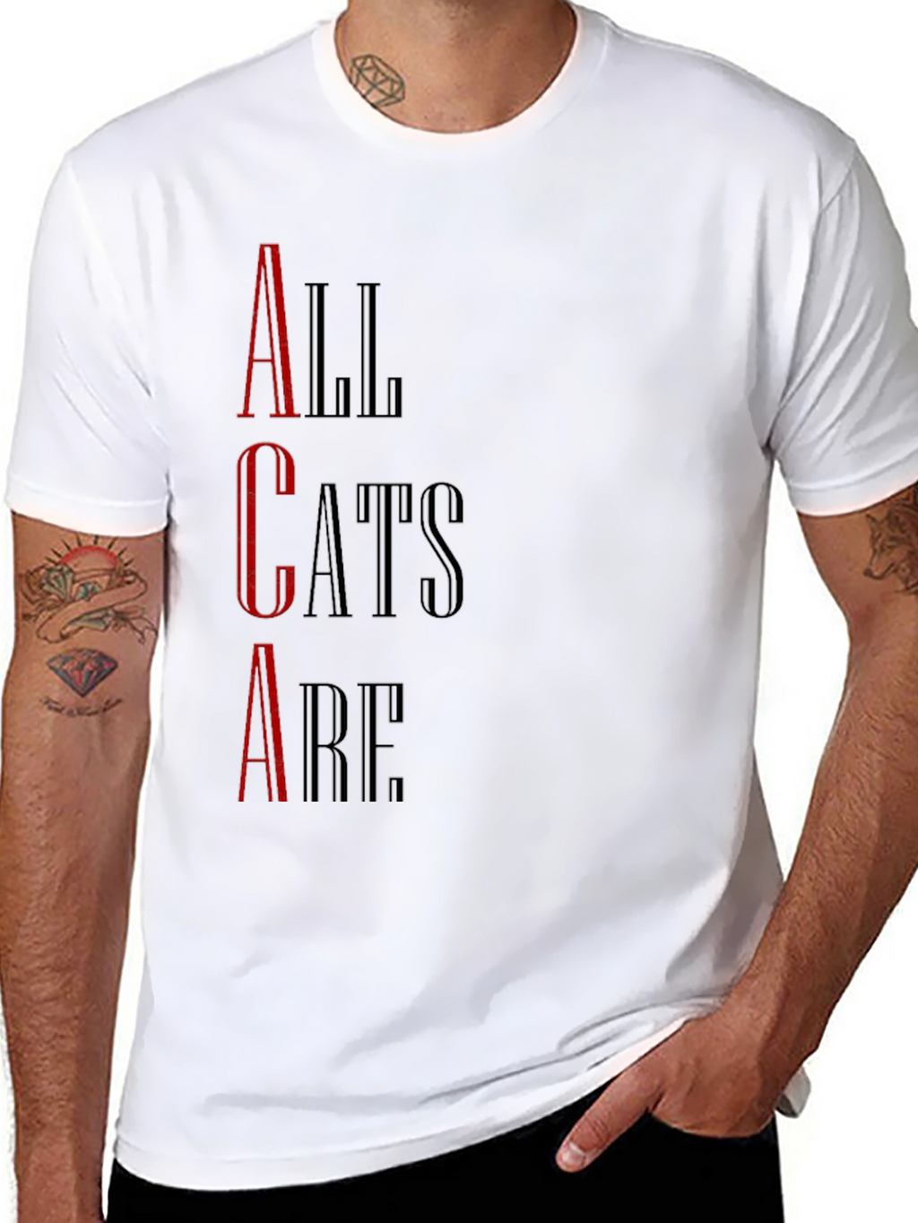 All Cats Are T-Shirt - Black Graphic Tee